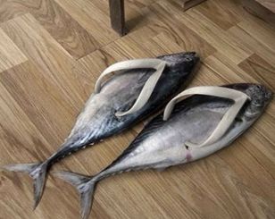 Afficher limage dorigine