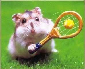 http://www.01humours.com/image/sport/12.JPG